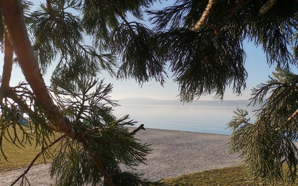 Mehr über den Artikel erfahren Last Shoot